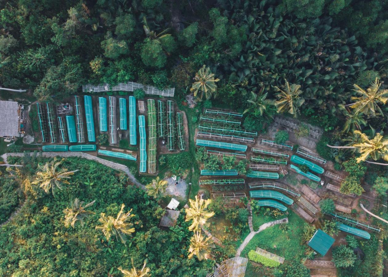 Ocean Green Eco Lodge Puerto Princesa Exterior foto